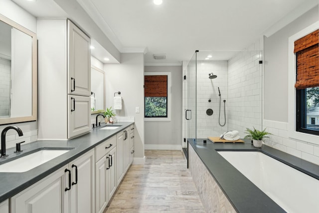 bathroom featuring a garden tub, a shower stall, a wealth of natural light, and a sink