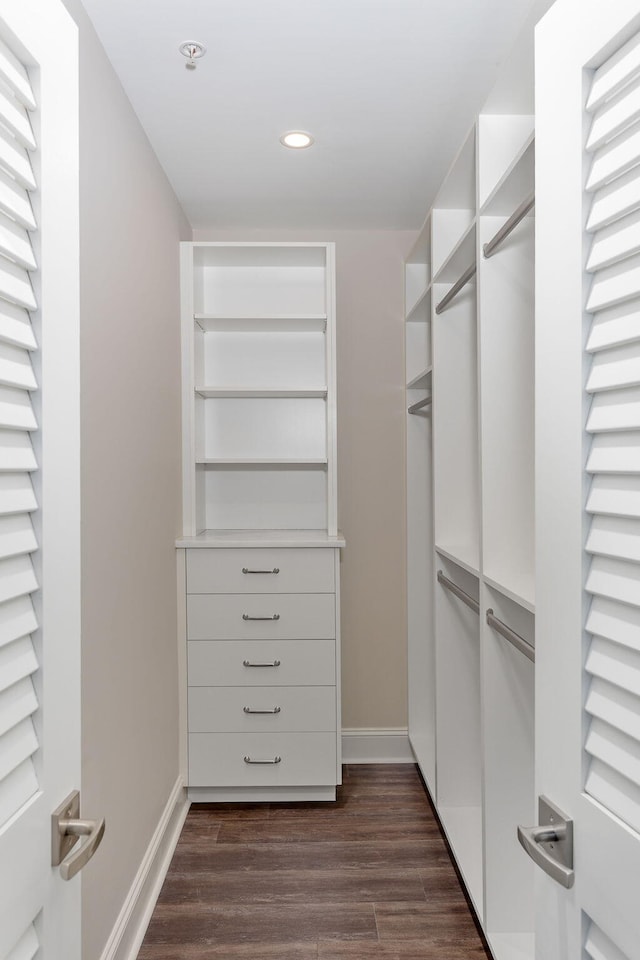spacious closet featuring dark wood-type flooring