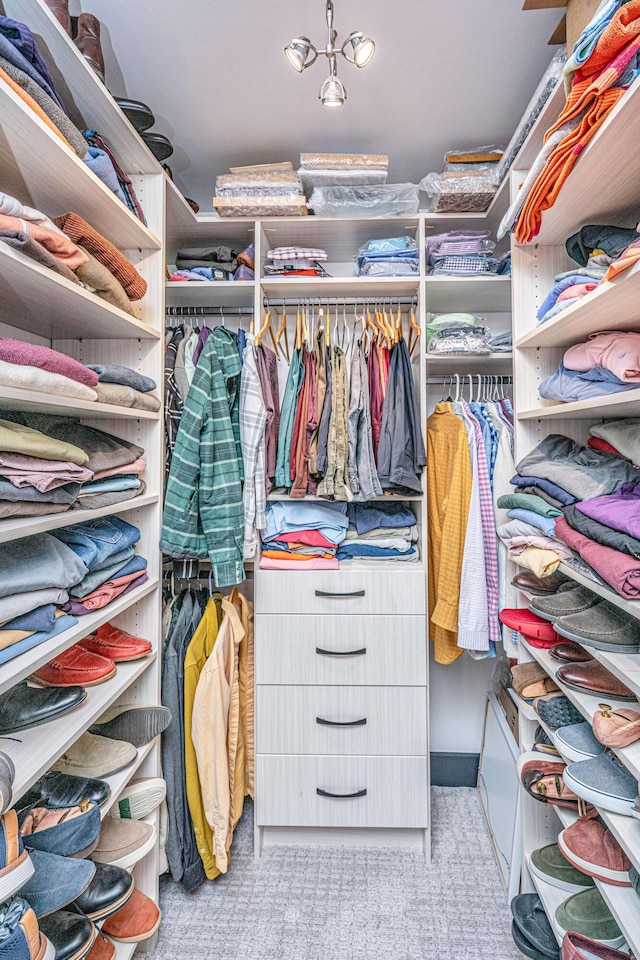 view of spacious closet