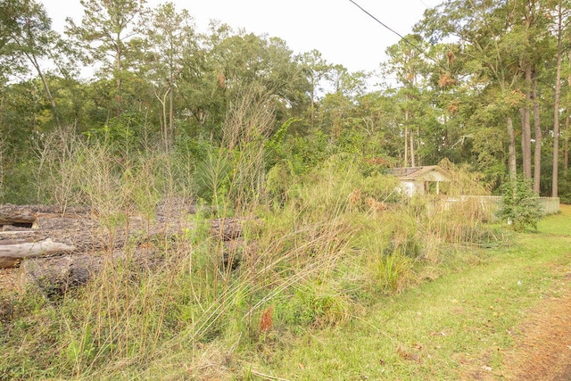 view of local wilderness