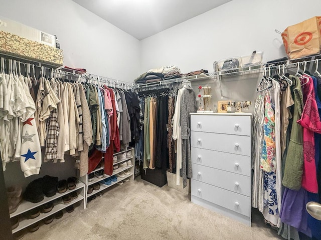 spacious closet with carpet