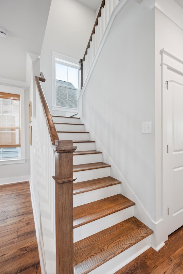 staircase featuring hardwood / wood-style flooring and plenty of natural light