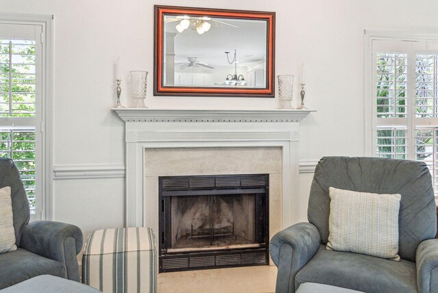 174 Revetment Ln, Mount Pleasant, SC 29464 - sitting room featuring a fireplace and plenty of natural light