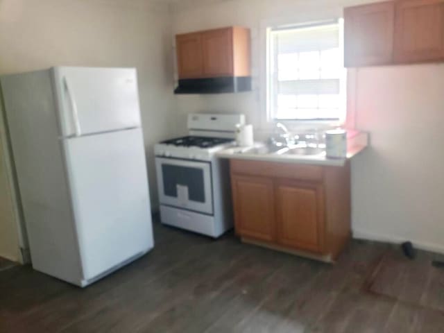 kitchen with ventilation hood, sink, dark wood-type flooring, and white appliances