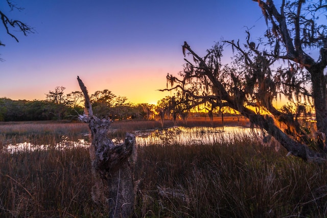 view of nature at dusk