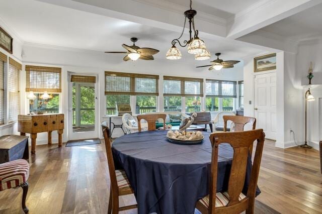 dining space featuring ornamental molding, a healthy amount of sunlight, beam ceiling, and wood-type flooring