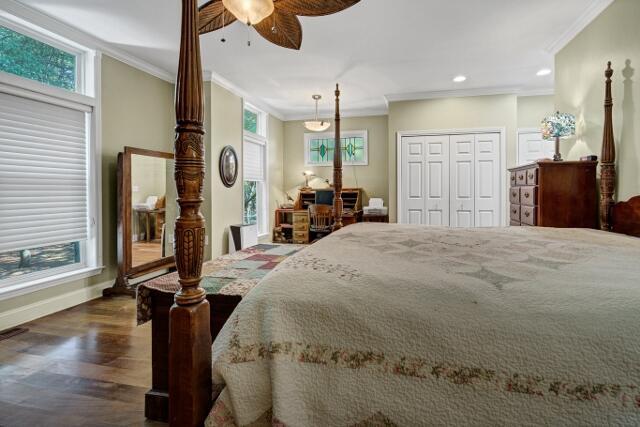 bedroom featuring ornamental molding, dark hardwood / wood-style floors, and multiple windows