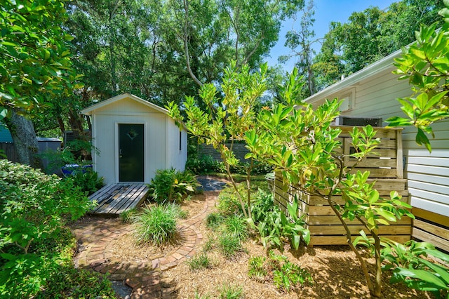 view of yard with a storage shed