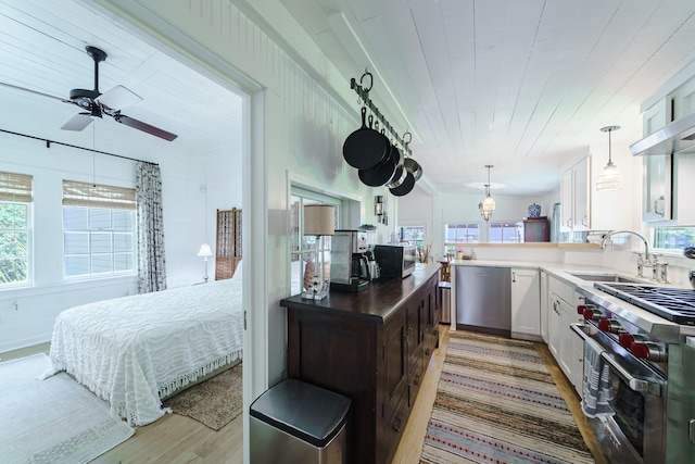 kitchen with a wealth of natural light, sink, light hardwood / wood-style floors, white cabinets, and appliances with stainless steel finishes