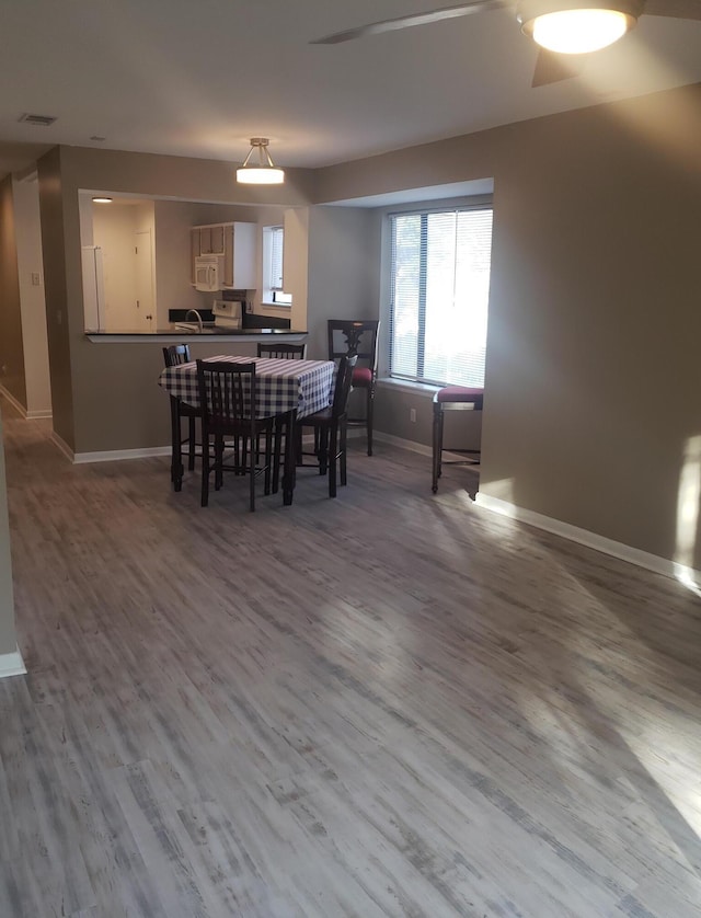 dining room with hardwood / wood-style floors