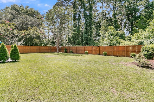 3257 Heathland Way, Mount Pleasant, SC 29466 - fenced backyard with view of wooded area