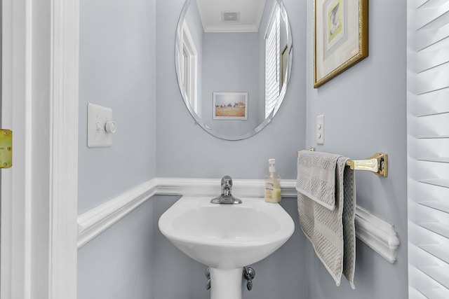 3257 Heathland Way, Mount Pleasant, SC 29466 - bathroom with ornamental molding and a sink