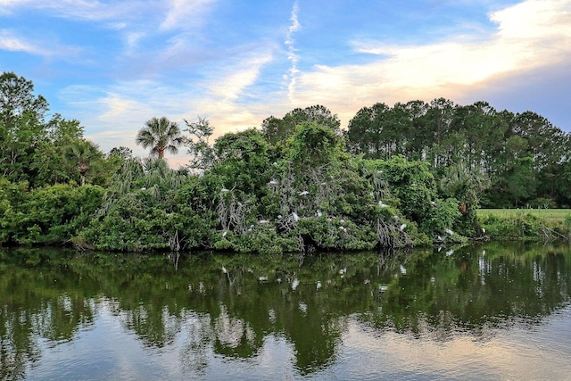 3257 Heathland Way, Mount Pleasant, SC 29466 - water view