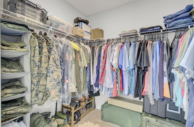 walk in closet featuring carpet