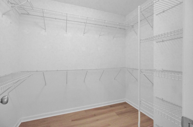 walk in closet with hardwood / wood-style floors