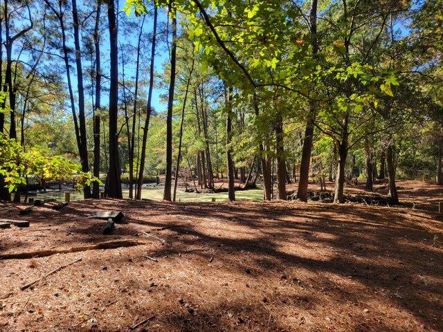 400 Murray Blvd, Summerville, SC 29483 - view of local wilderness