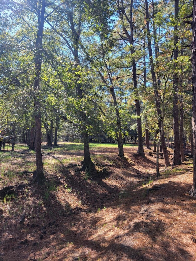 400 Murray Blvd, Summerville, SC 29483 - view of nature