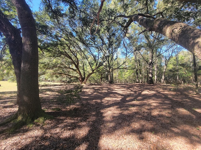 400 Murray Blvd, Summerville, SC 29483 - view of local wilderness
