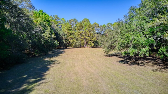 400 Murray Blvd, Summerville, SC 29483 - view of yard