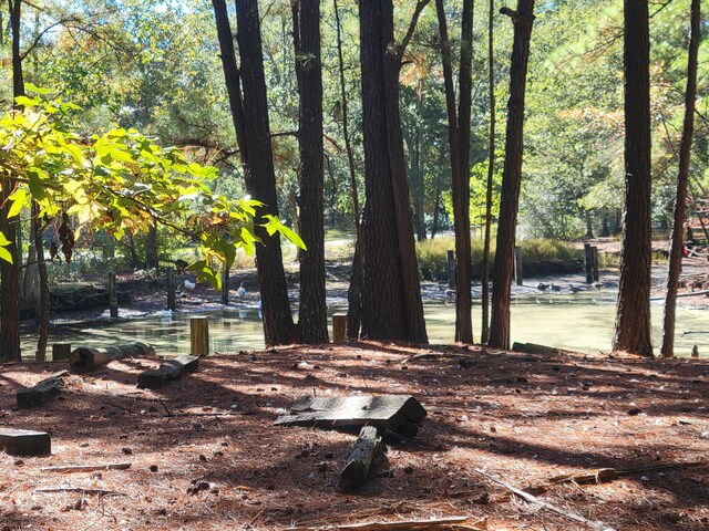 400 Murray Blvd, Summerville, SC 29483 - view of yard featuring a water view