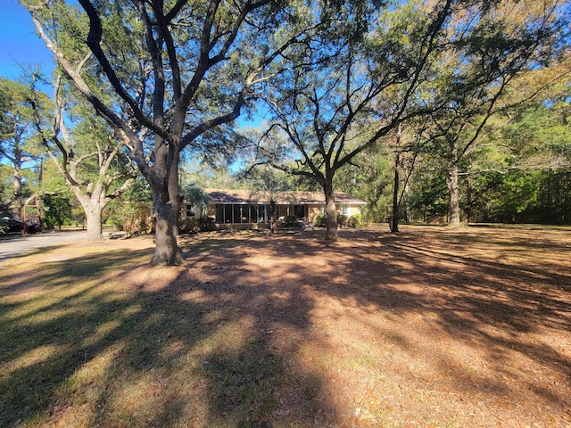 400 Murray Blvd, Summerville, SC 29483 - view of yard
