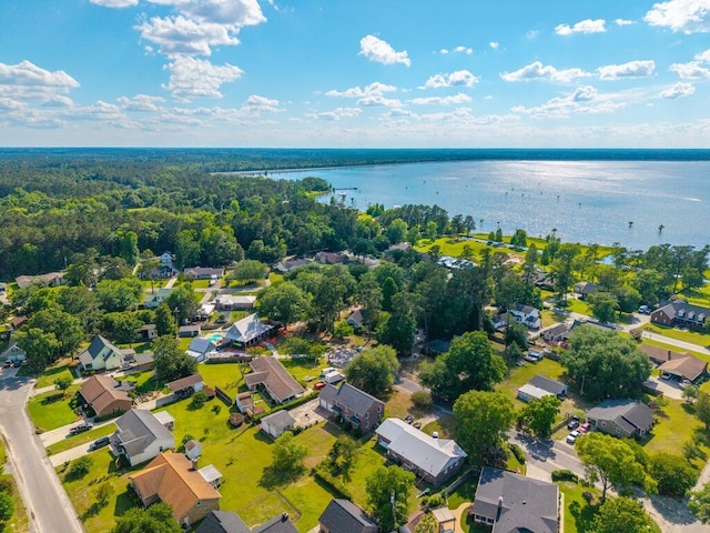 305 Whitewood Ct, Moncks Corner, SC 29461 - aerial view of residential area with a large body of water