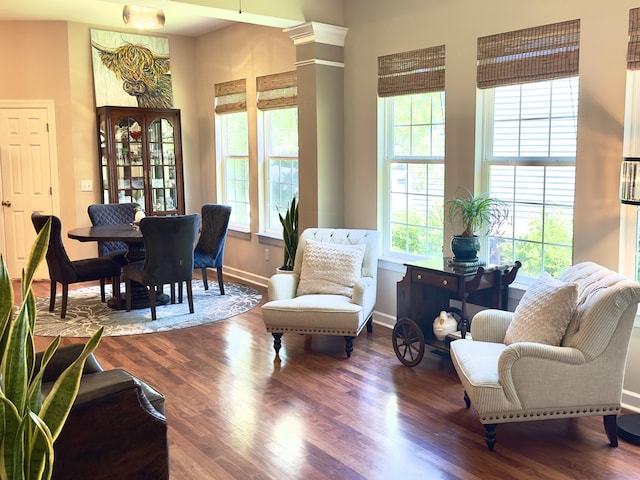 1736 James Basford Pl, Mount Pleasant, SC 29466 - living area featuring baseboards and wood finished floors