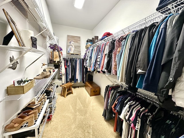 1736 James Basford Pl, Mount Pleasant, SC 29466 - walk in closet featuring carpet flooring