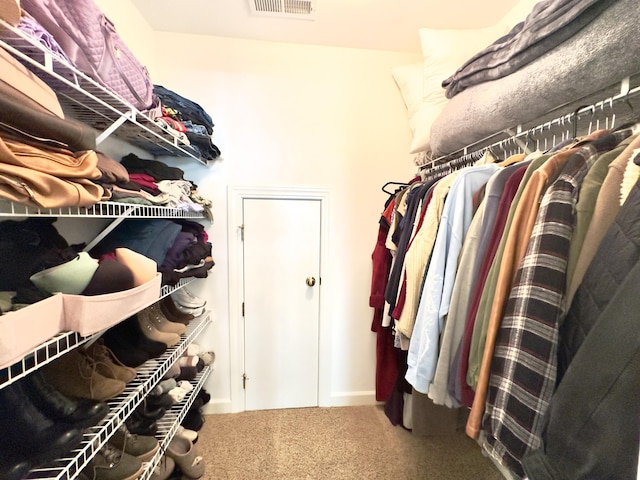 1736 James Basford Pl, Mount Pleasant, SC 29466 - walk in closet with carpet floors and visible vents