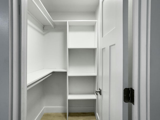 spacious closet featuring light wood-type flooring