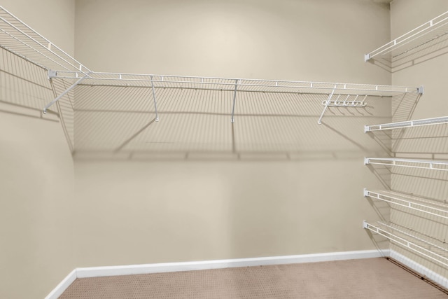 700 Daniel Ellis Dr Unit 3108, Charleston, SC 29412 - spacious closet featuring carpet flooring