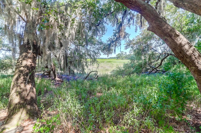 700 Daniel Ellis Dr Unit 3108, Charleston, SC 29412 - view of nature