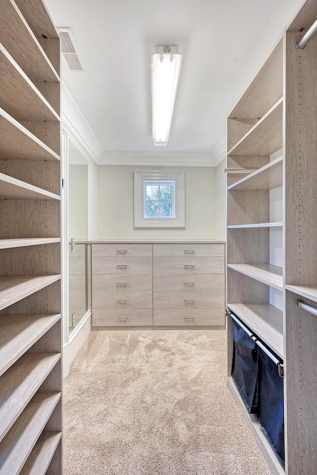 walk in closet featuring visible vents and carpet flooring