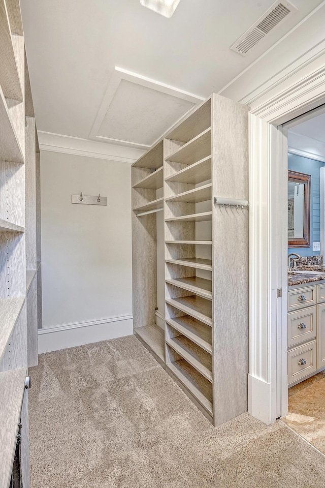 spacious closet featuring light carpet, a sink, and visible vents