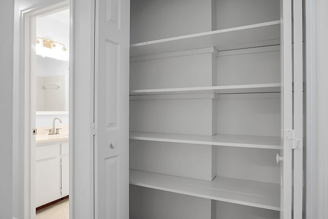 closet with sink