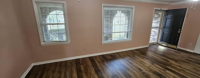 foyer featuring dark hardwood / wood-style flooring