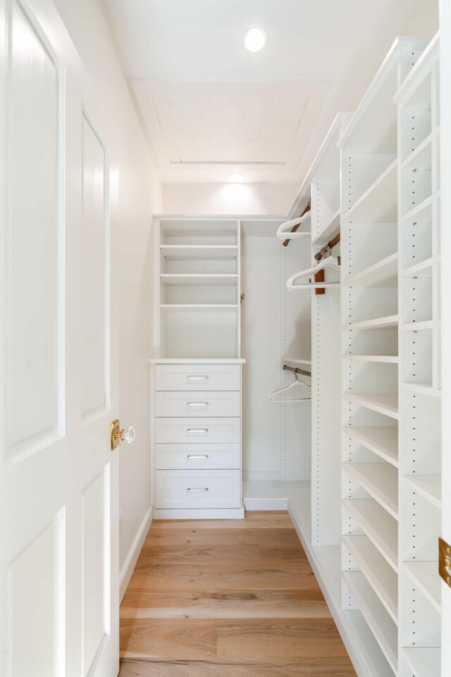 spacious closet featuring light wood-type flooring