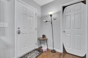 foyer featuring dark wood-type flooring