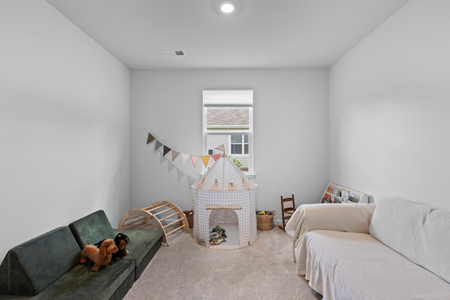 1173 Wading Point Blvd, Huger, SC 29450 - bedroom with carpet floors