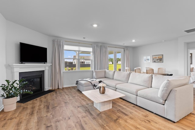 1173 Wading Point Blvd, Huger, SC 29450 - living area featuring wood finished floors, recessed lighting, a glass covered fireplace, and baseboards