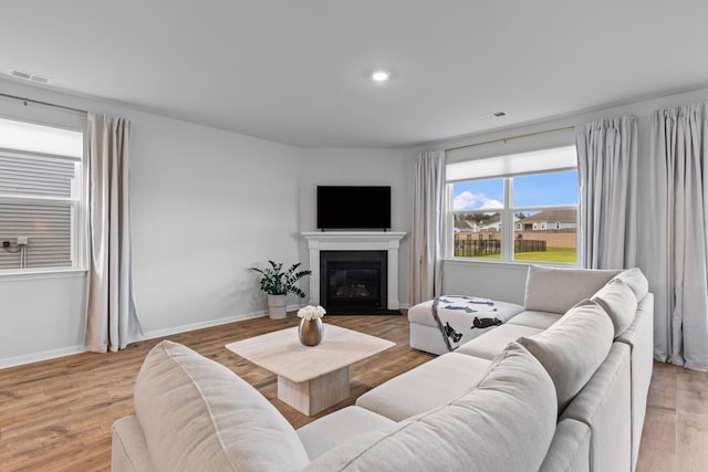 1173 Wading Point Blvd, Huger, SC 29450 - living area with baseboards, wood finished floors, and a glass covered fireplace