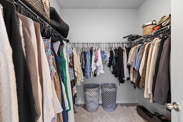 1173 Wading Point Blvd, Huger, SC 29450 - spacious closet featuring carpet