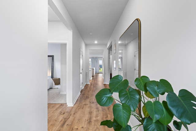 1173 Wading Point Blvd, Huger, SC 29450 - corridor with light wood finished floors, baseboards, and recessed lighting