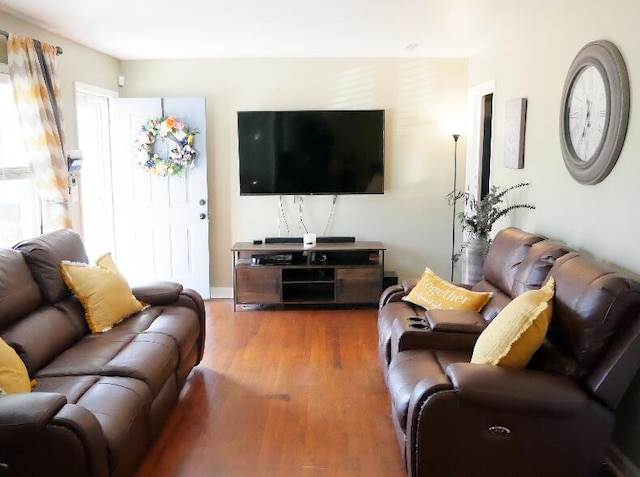 living room featuring wood-type flooring