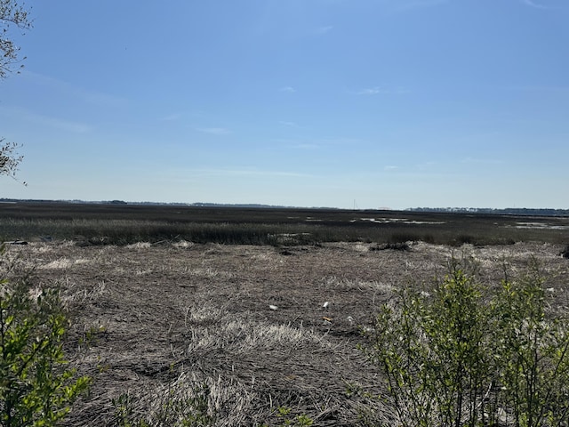 view of local wilderness featuring a rural view