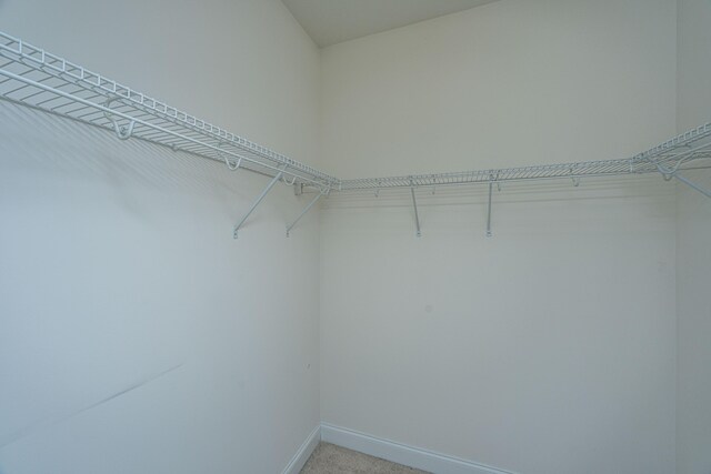 9710 Table Mountain Ln, Ladson, SC 29456 - spacious closet with light colored carpet