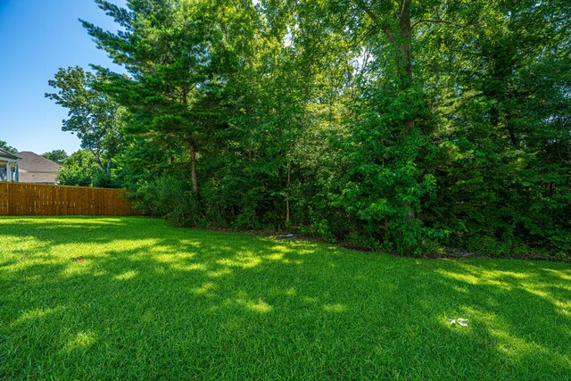 9710 Table Mountain Ln, Ladson, SC 29456 - view of yard