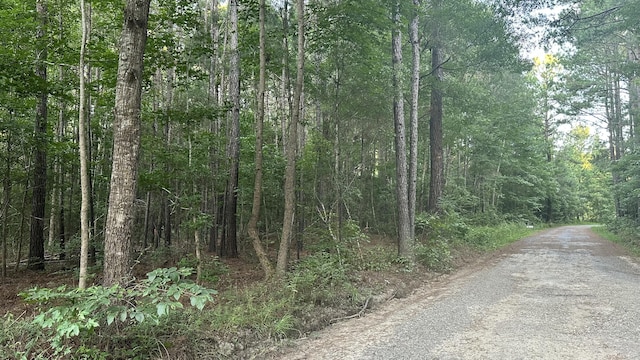 0 Pearl Acres Ln, Huger SC, 29450 land for sale