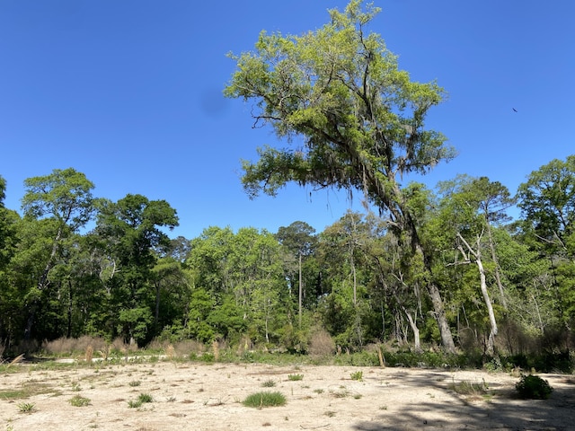 6079 Josie Ridge Rd, Wadmalaw Island, SC 29487