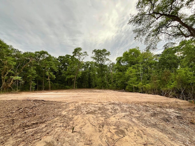 6079 Josie Ridge Rd, Wadmalaw Island, SC 29487
